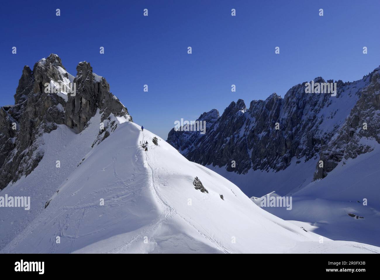 Backcountry skiers ascending, Griesner Kar, Wilder Kaiser, Kaiser range, Tyrol, Austria Stock Photo