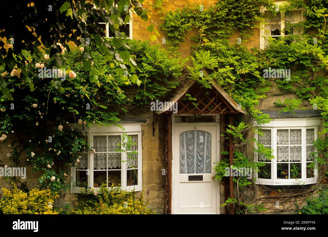 Europe, England, Gloucestershire, Cotswolds, Winchcombe, Vineyard ...