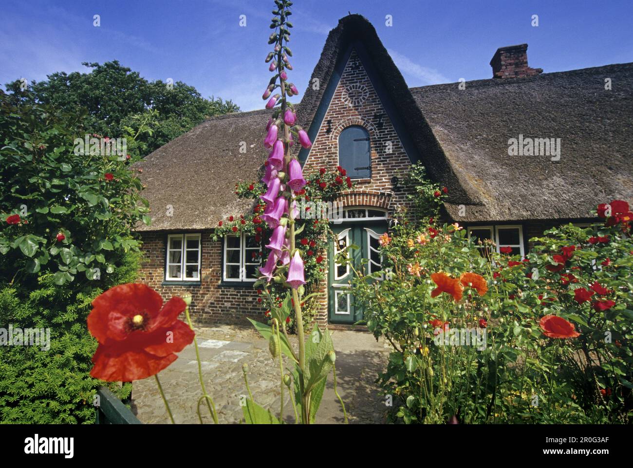 Typical house with thatched roof and flower garden at Keitum, Sylt island, North Friesland, Schleswig-Holstein, Germany Stock Photo