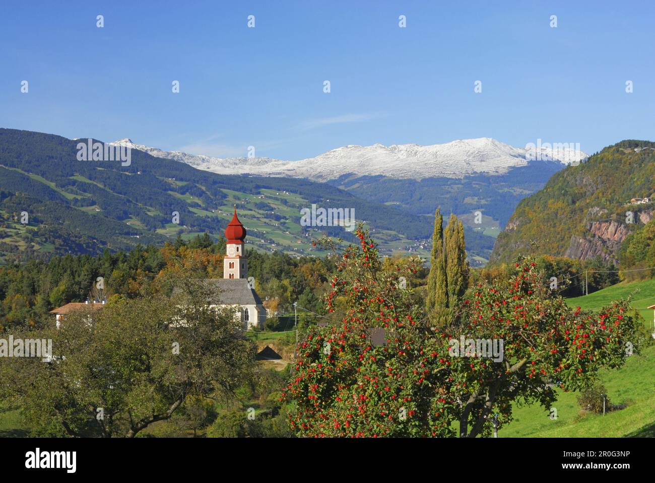 View over Eisack Valley with apple tree and church tower, Dolomites, South Tyrol, Italy Stock Photo