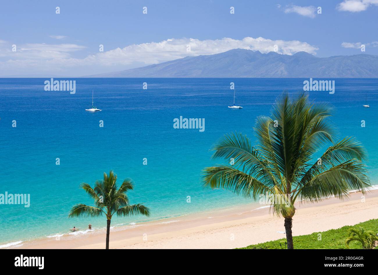 Kaanapali beach palms hi-res stock photography and images - Alamy