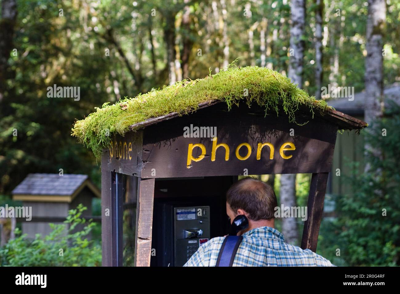 A man at mossy call booth at Olympic Nationalpark, Washington, USA Stock Photo