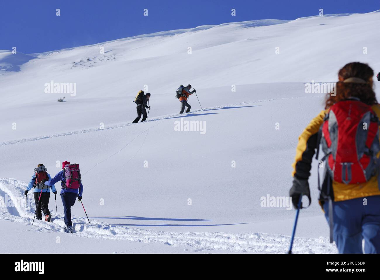Backcounty skiiers ascending Wiedersberger Horn, Kitzbuehel Alps, Tyrol, Austria Stock Photo