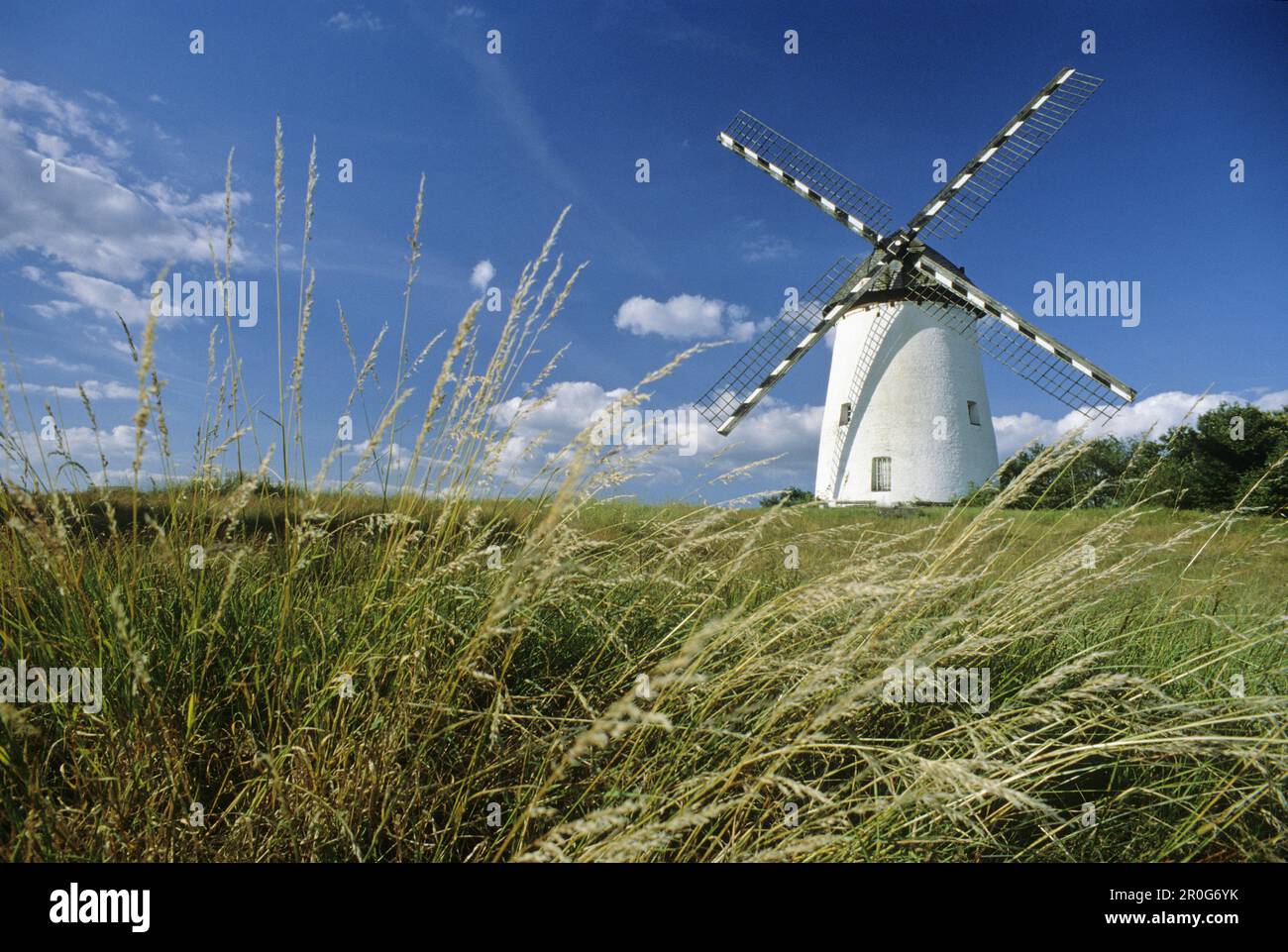 Engelsberg windmill, near Krefeld, Lower Rhine Region, North Rhine-Westphalia, Germany Stock Photo