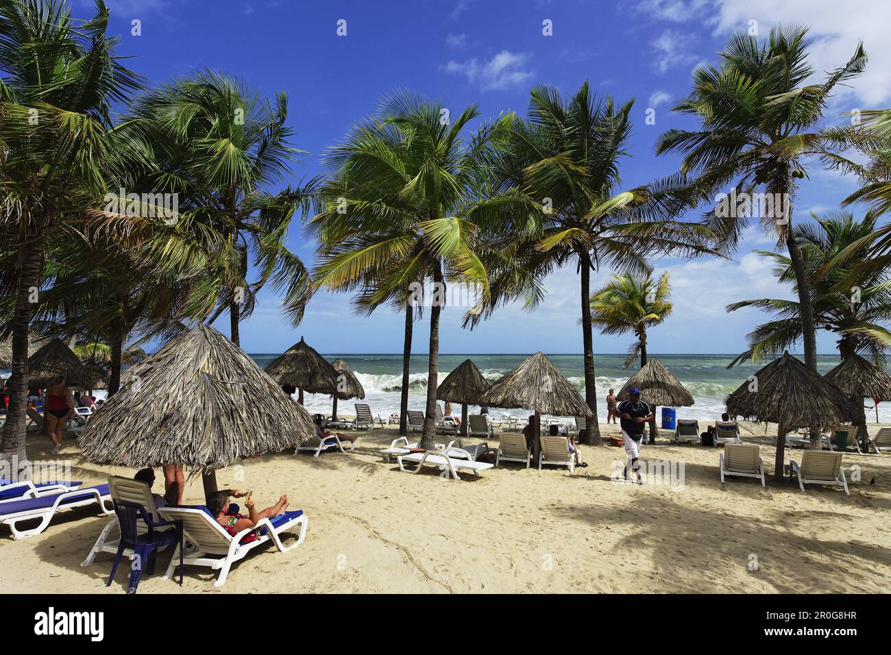 Palm-lined beach, Playa Puerto La Cruz, Nueva Esparta, Venezuela Stock Photo