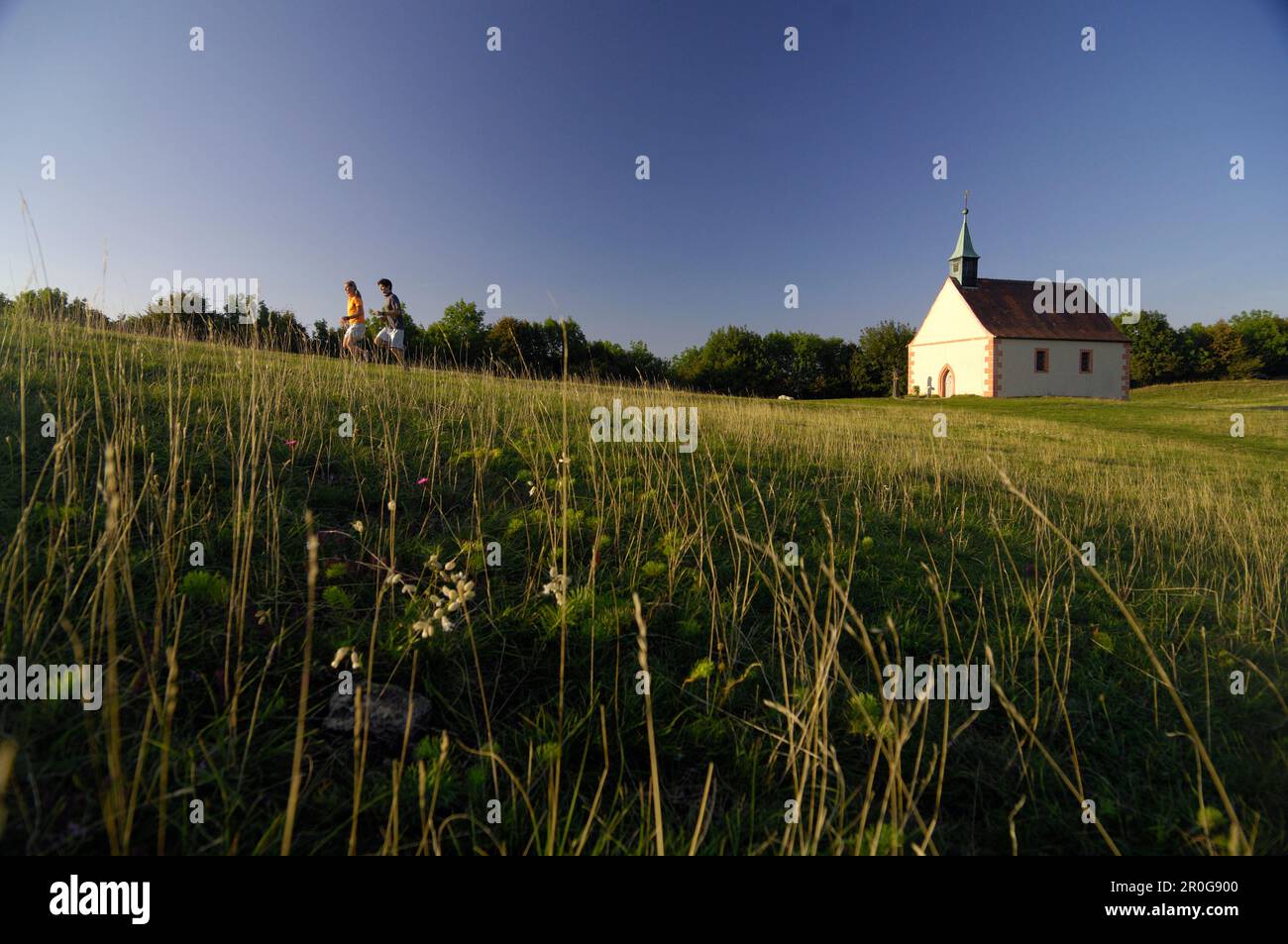 Couple jogging on a meadow, Franconian Switzerland, Bavaria, Germany, Europe Stock Photo