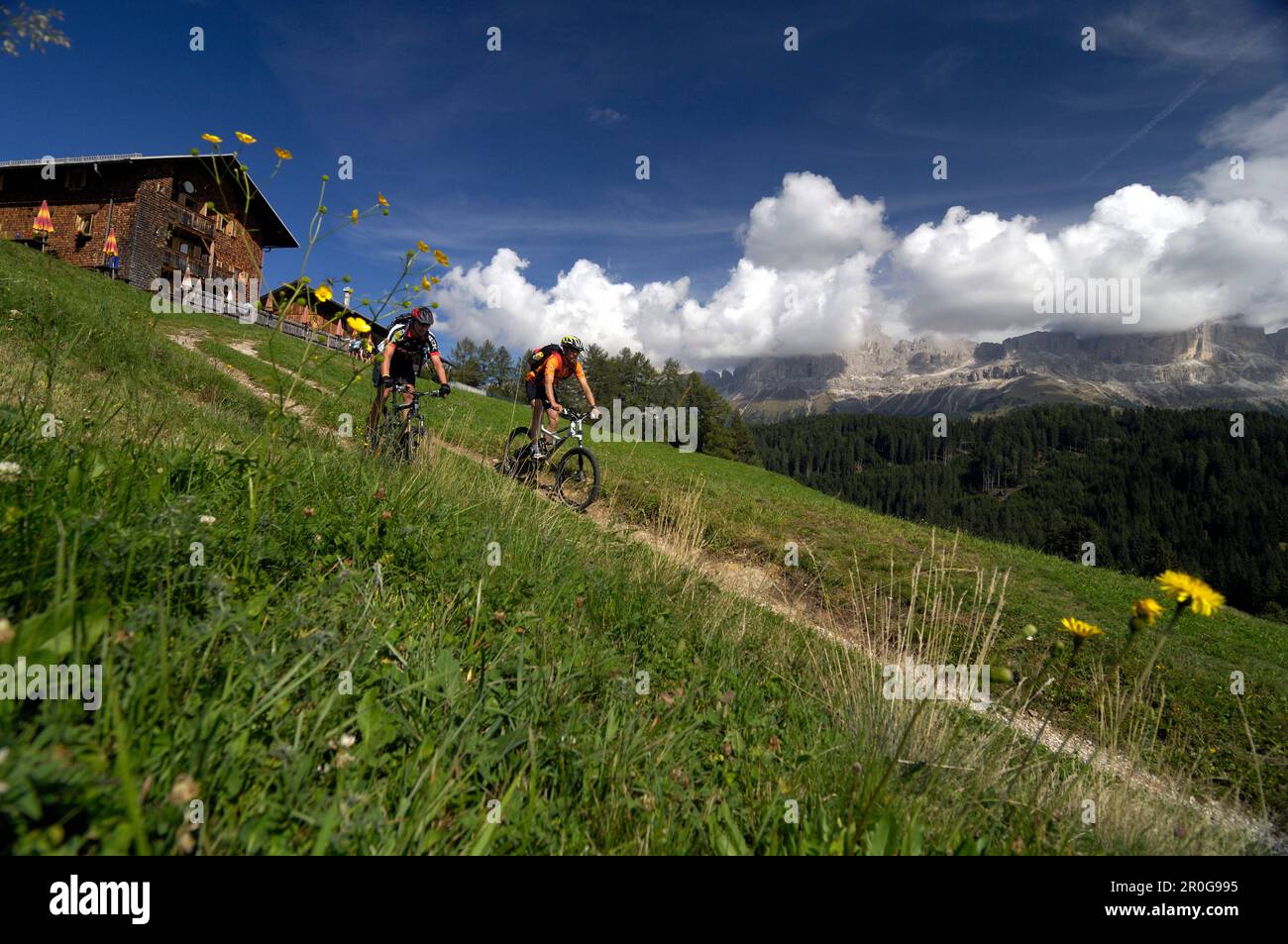 men on a mountainbike tour, MTB, near Welschnofen, Mountain Range, Dolomiten, South Tyrol, Italy, Stock Photo - Alamy