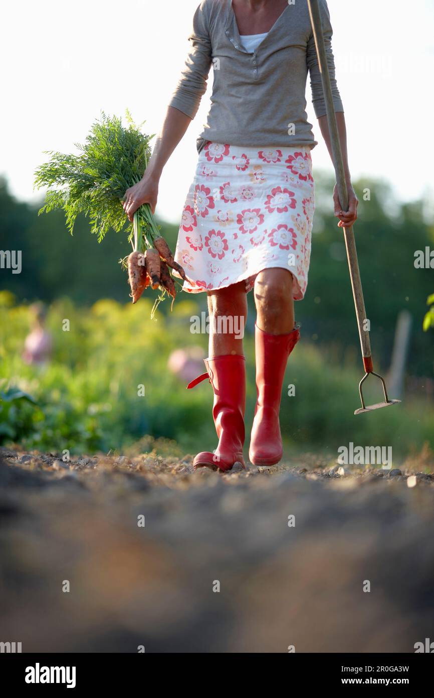 Mature woman in a vegetable garden, Lower Saxony, Germany Stock Photo