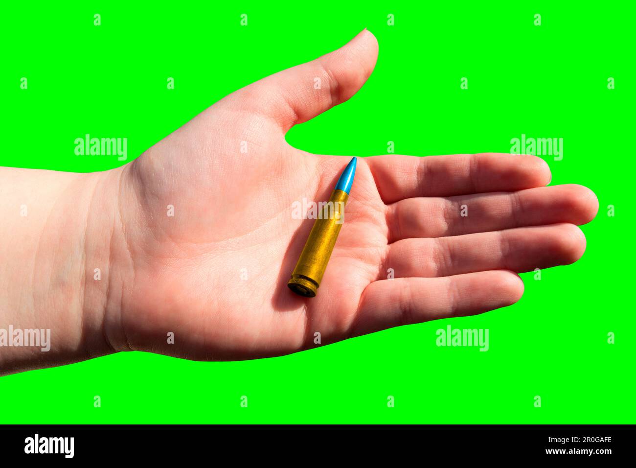 Yellowblue rifle cartridge in hand on a green background (chroma key