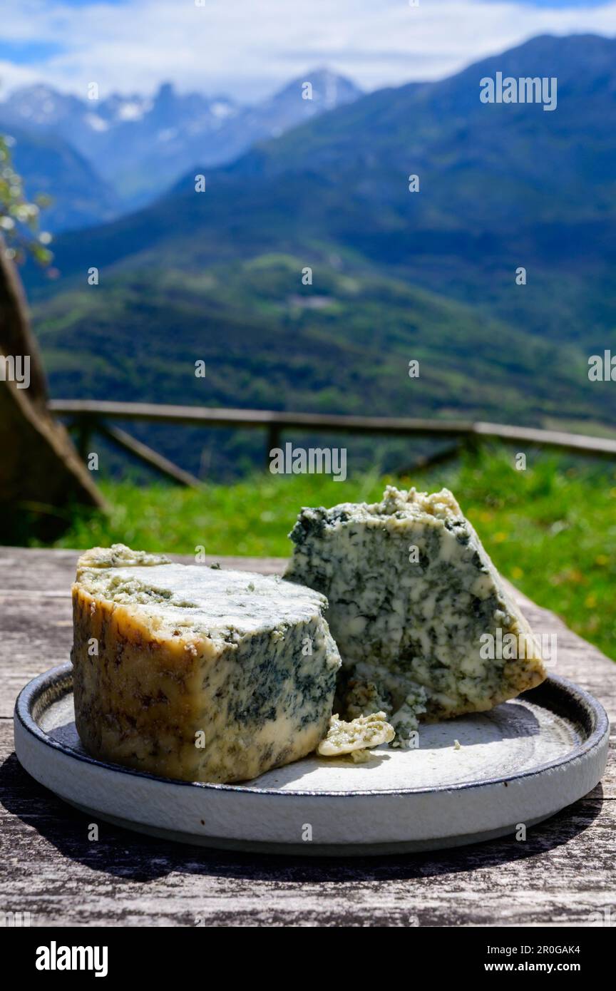 Cabrales, artisan blue cheese made by rural dairy farmers in Asturias