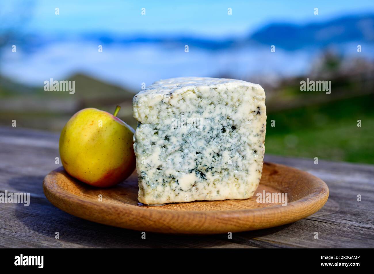 Cabrales, artisan blue cheese made by rural dairy farmers in Asturias, Spain from unpasteurized