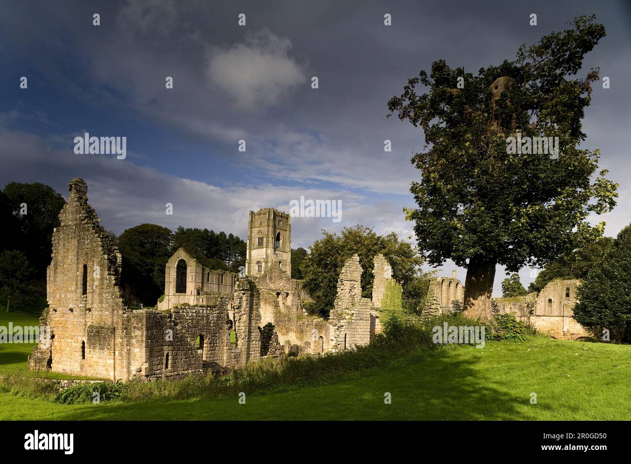 Fountains Abbey, Ripon, North Yorkshire, England, Great Britain, Europe