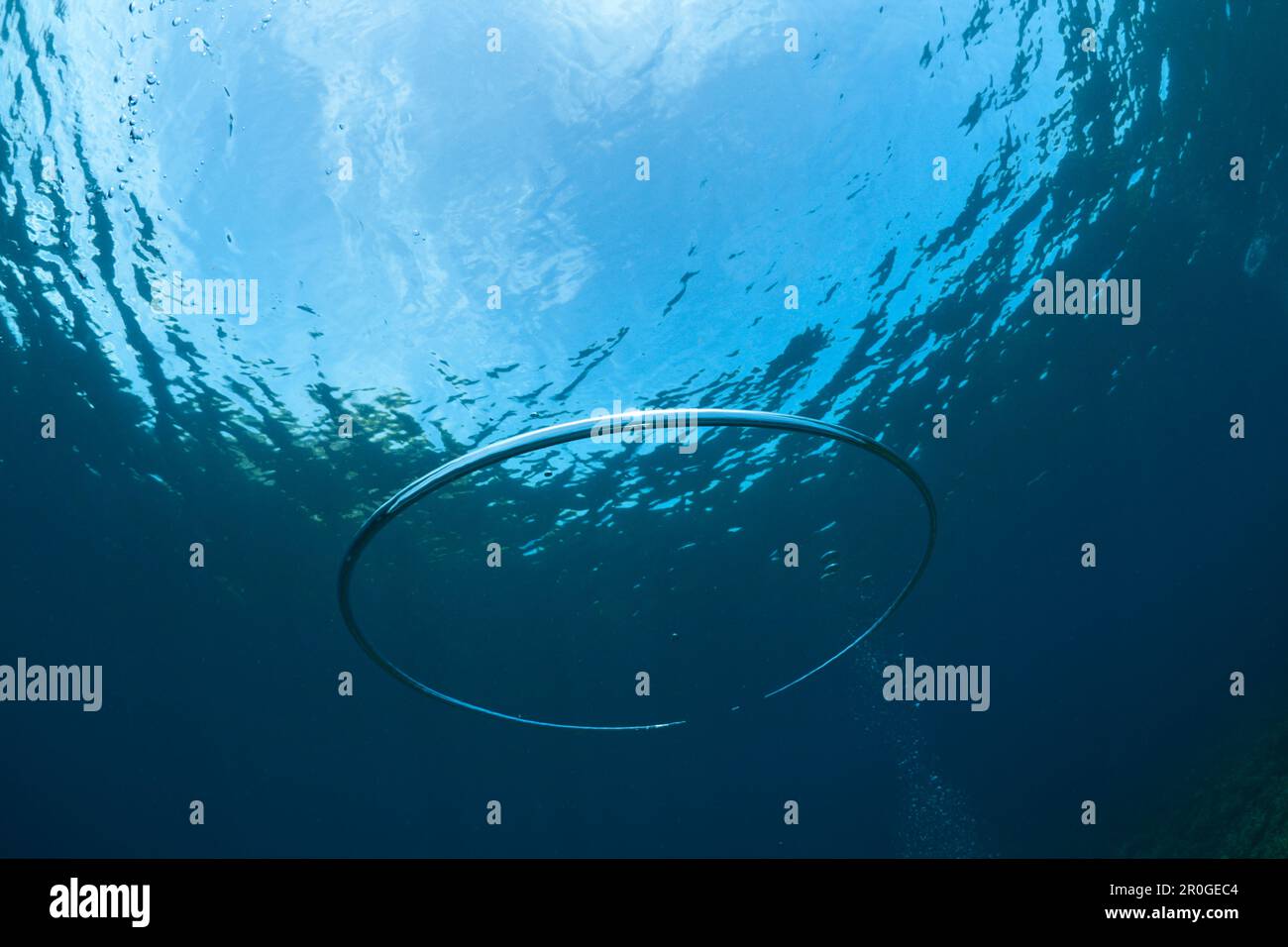 Bubble Ring made by Scuba Diver underwater, Raja Ampat, West Papua