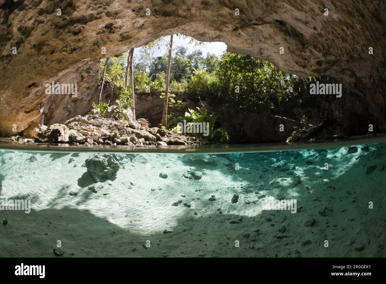 Entrance of Gran Cenote, Tulum, Yucatan Peninsula, Mexico Stock Photo