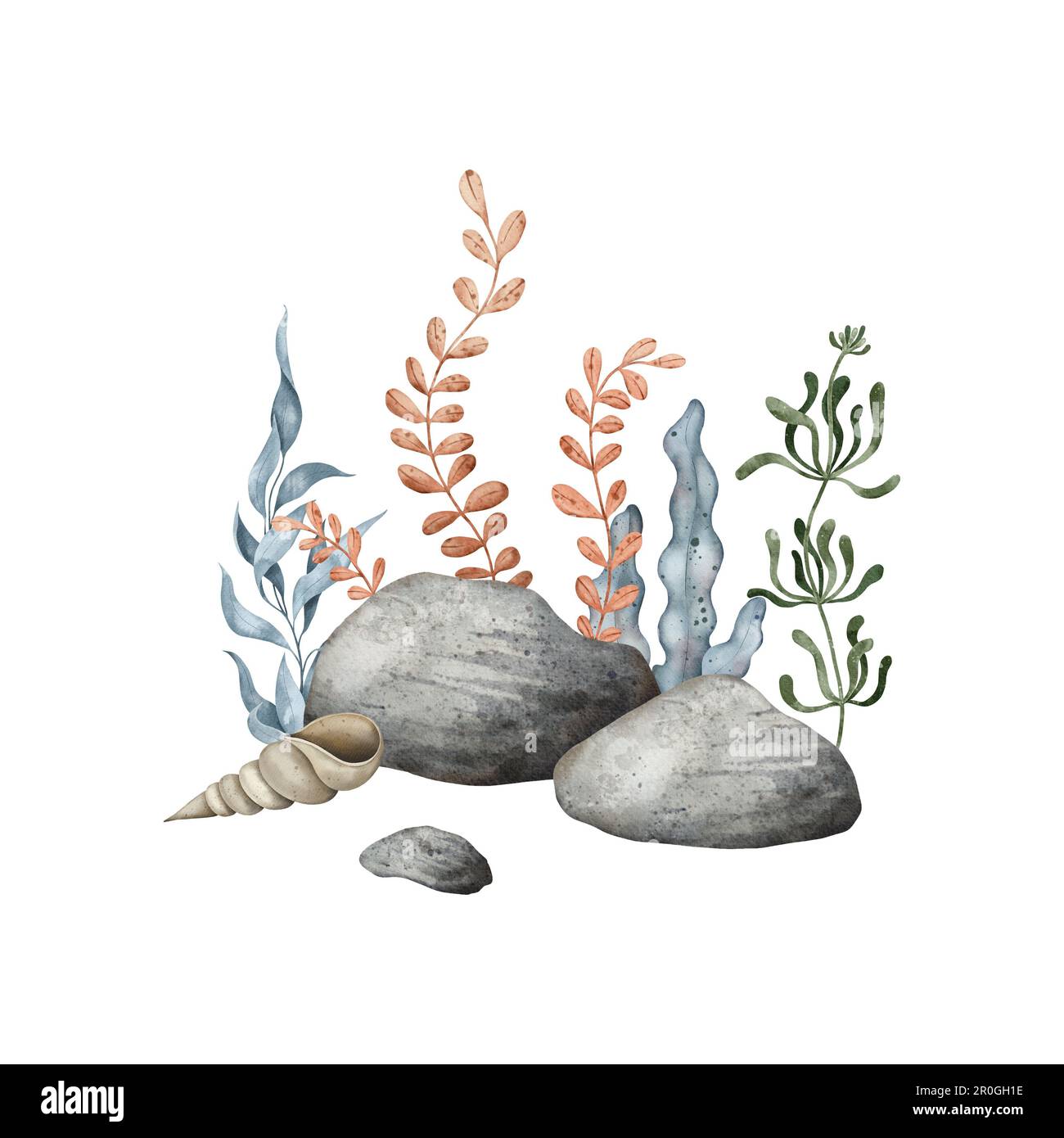 Sea Pebbles with marine shell, bottom pebble, seaweed algae. Hand drawn ...