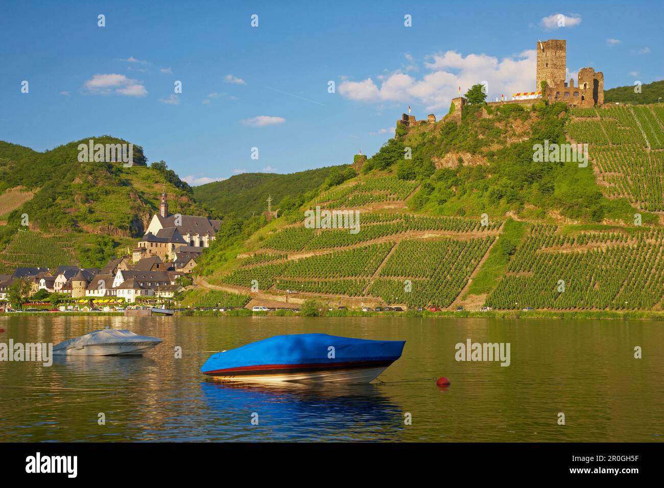 View over river Moselle to Beilstein with castle ruin Metternich