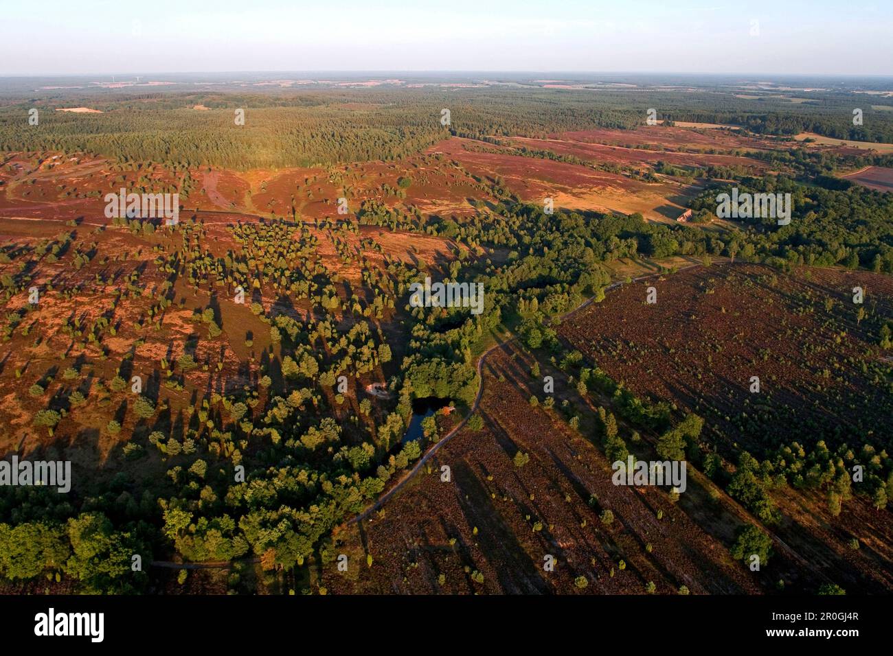 Aerial shot of Luneburg Heath, Lower Saxony, Germany Stock Photo