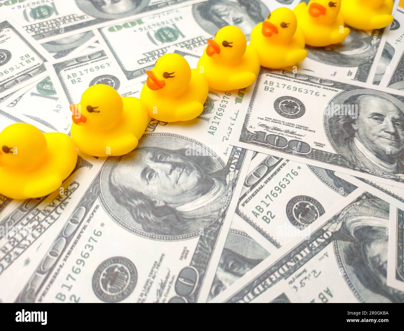 The yellow rubber ducks on a pile of money of hundred dollar bills Stock  Photo - Alamy