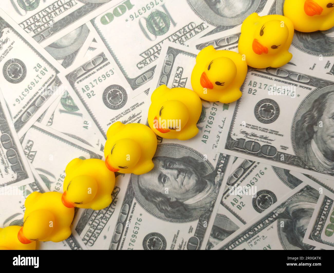 The yellow rubber ducks on a pile of money of hundred dollar bills Stock  Photo - Alamy