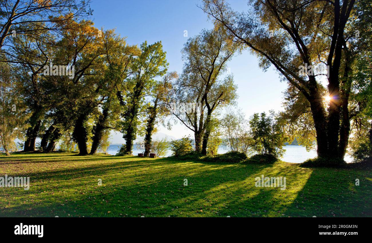 Afternoon  light on the west side of the Fraueninsel, Chiemsee, Chiemgau, Upper Bavaria, Bavaria, Germnay Stock Photo