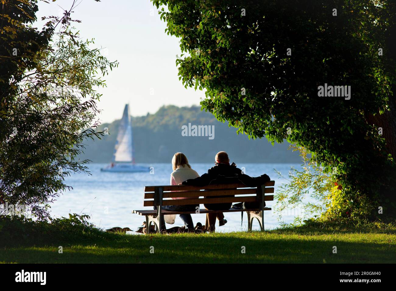 Benches on the west side of the Fraueninsel, Chiemsee, Chiemgau, Upper Bavaria, Bavaria, Germany Stock Photo