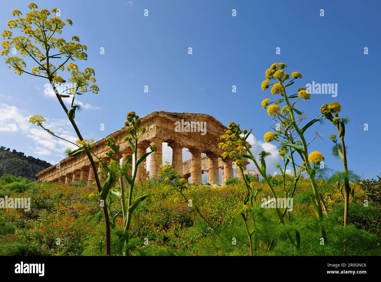 Temple of Segesta, near Calatafimi-Segesta, Sicily, Italy Stock Photo