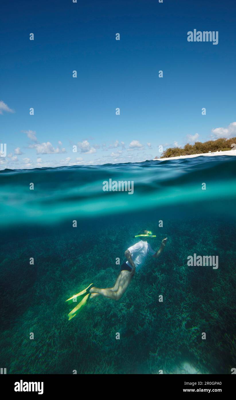 Diver in front of Wilson Island, part of the Capricornia Cays National Park, Great Barrier Reef Marine Park, UNESCO World Heritage Site, Queensland, A Stock Photo