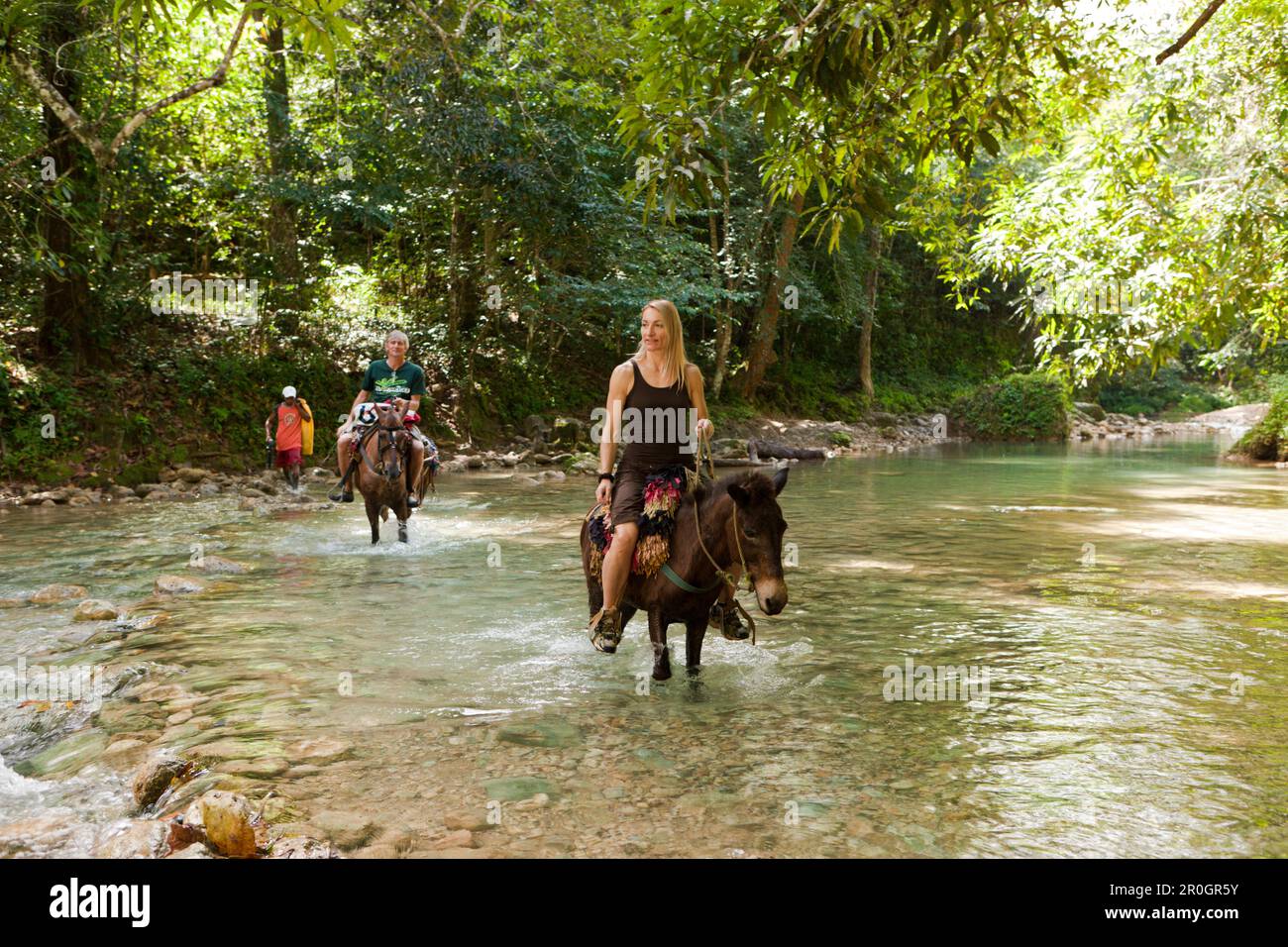 Horseback Tour to the Waterfall Cascada El Limon, Las Terrenas, Samana ...