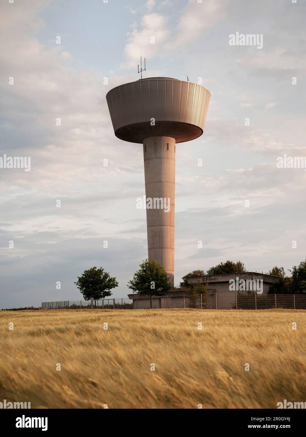 Water tower seen across a wheat field, Stadtwerke Aalen, Ostalbkreis, Baden-Wuerttemberg, Germany Stock Photo
