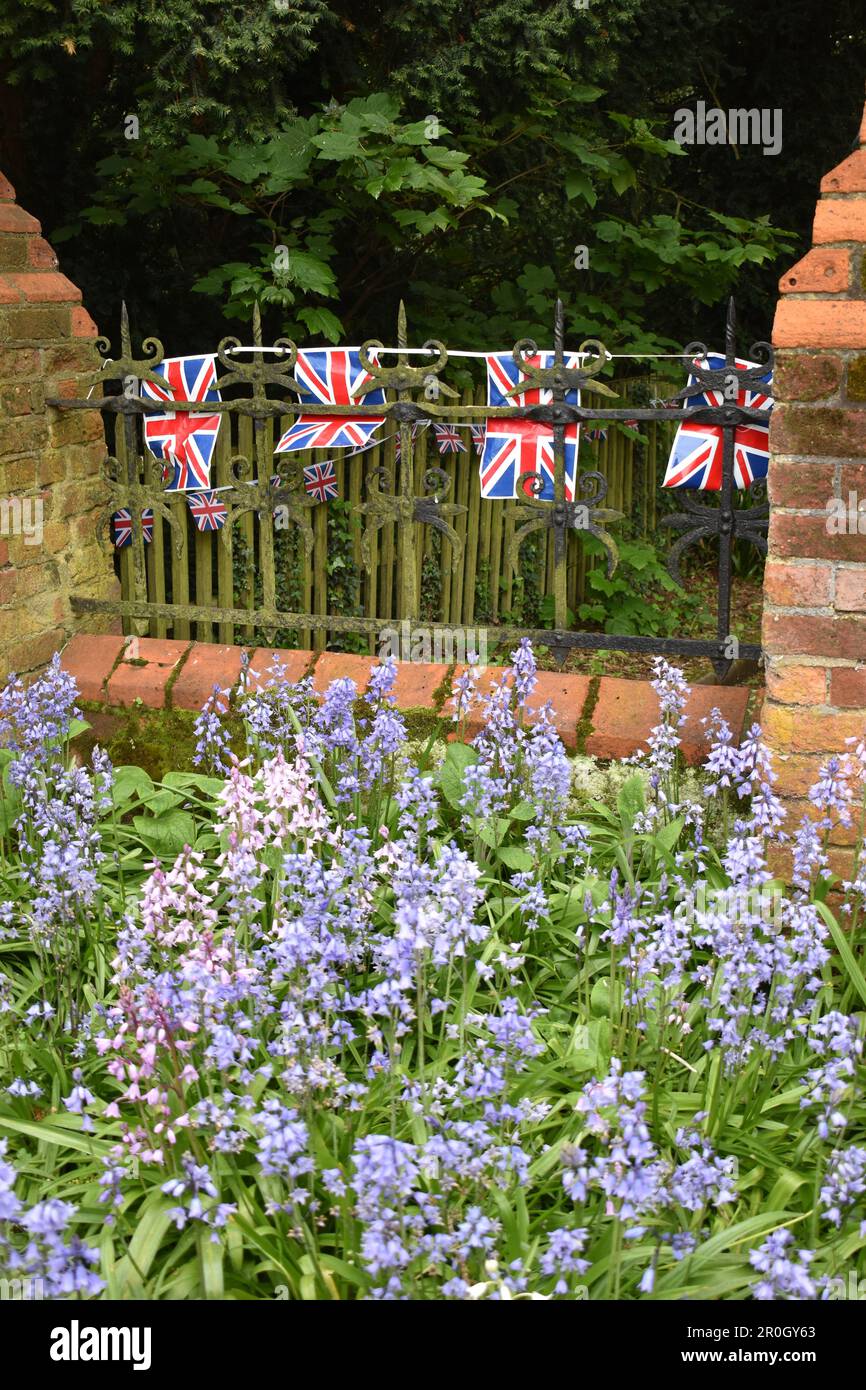 Bluebells and bunting in Bletchley for the Coronation. Stock Photo
