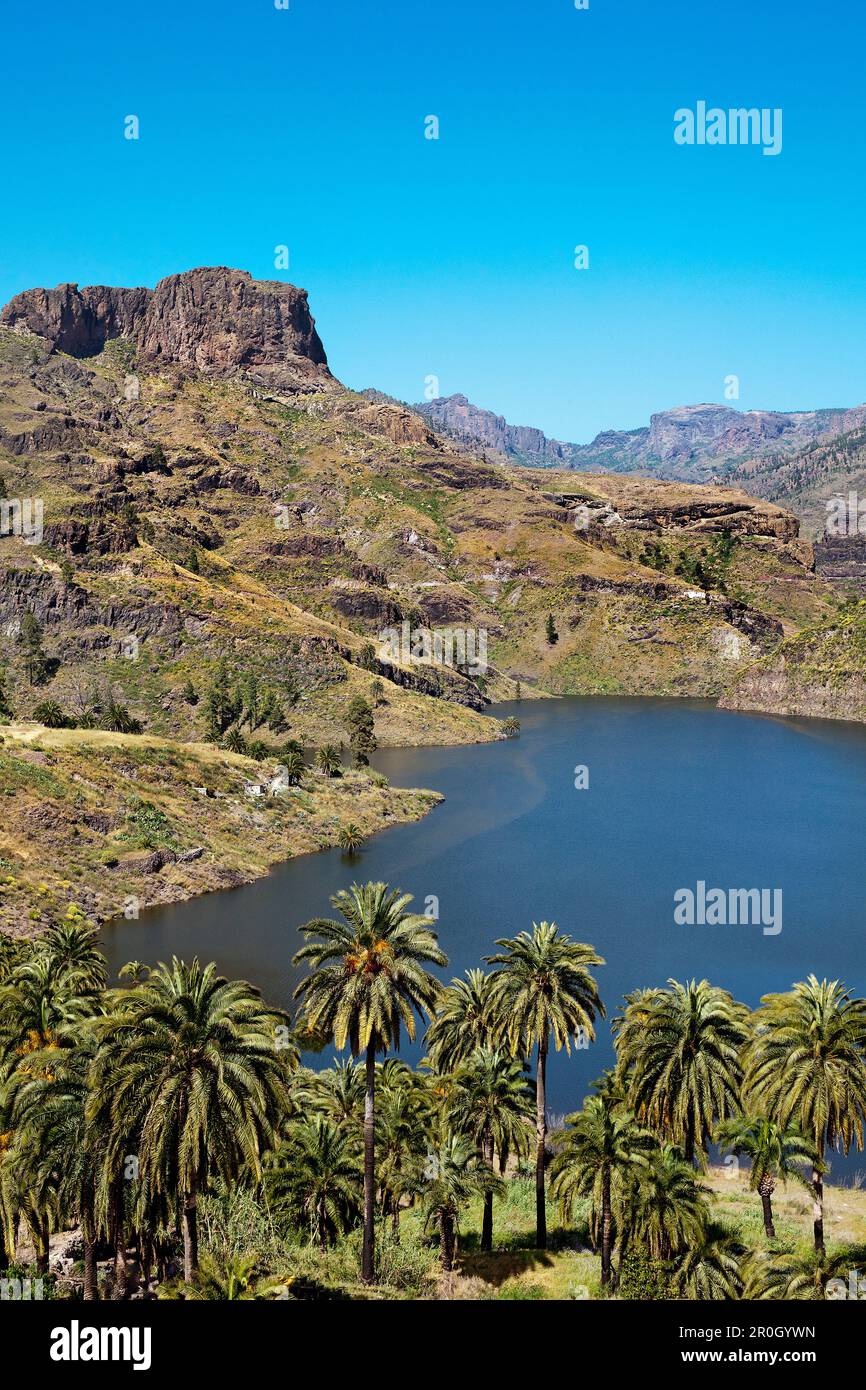Reservoir, Presa de Soria, Gran Canaria, Canary Islands, Spain Stock Photo