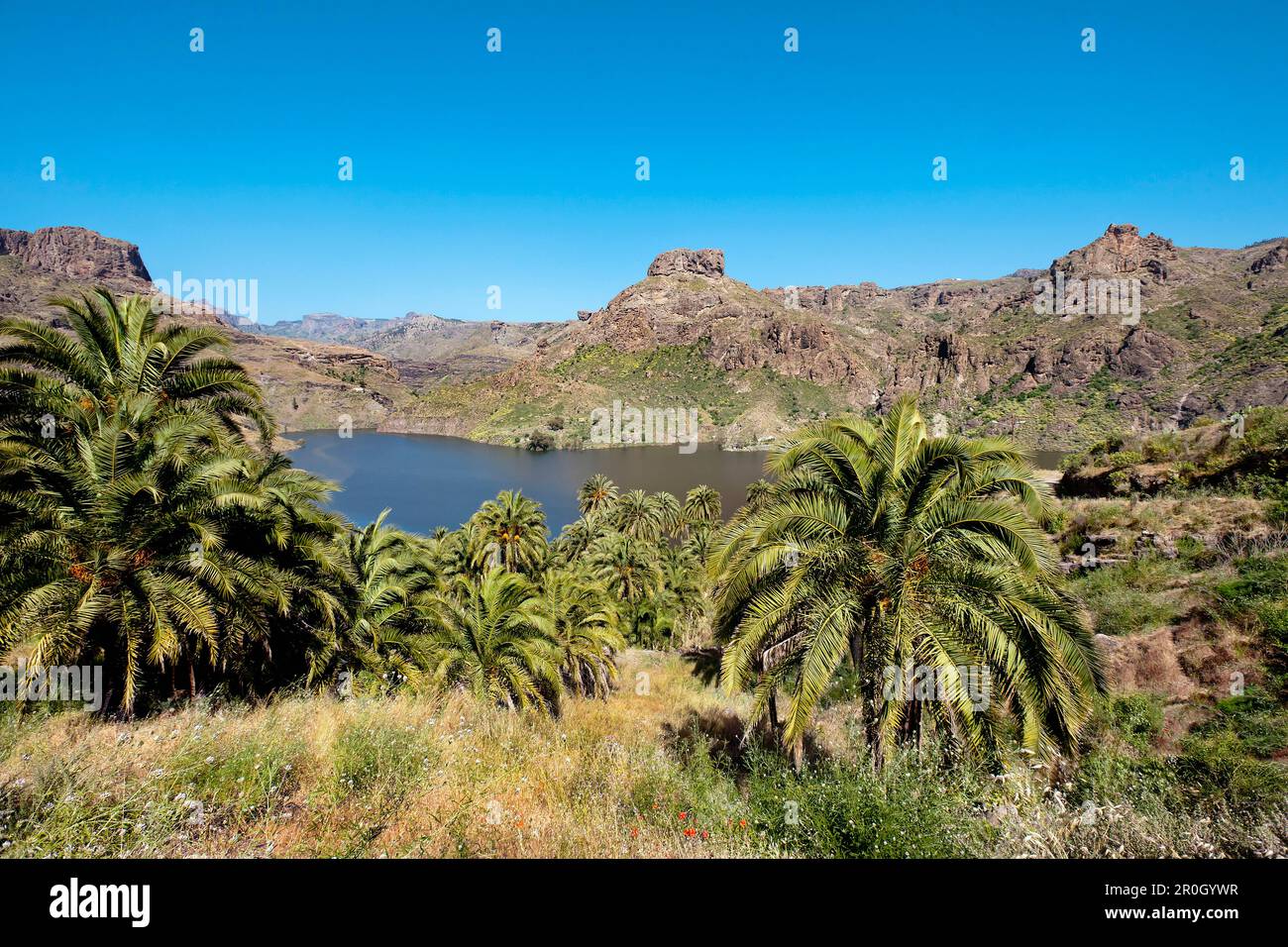 Reservoir, Presa de Soria, Gran Canaria, Canary Islands, Spain Stock Photo