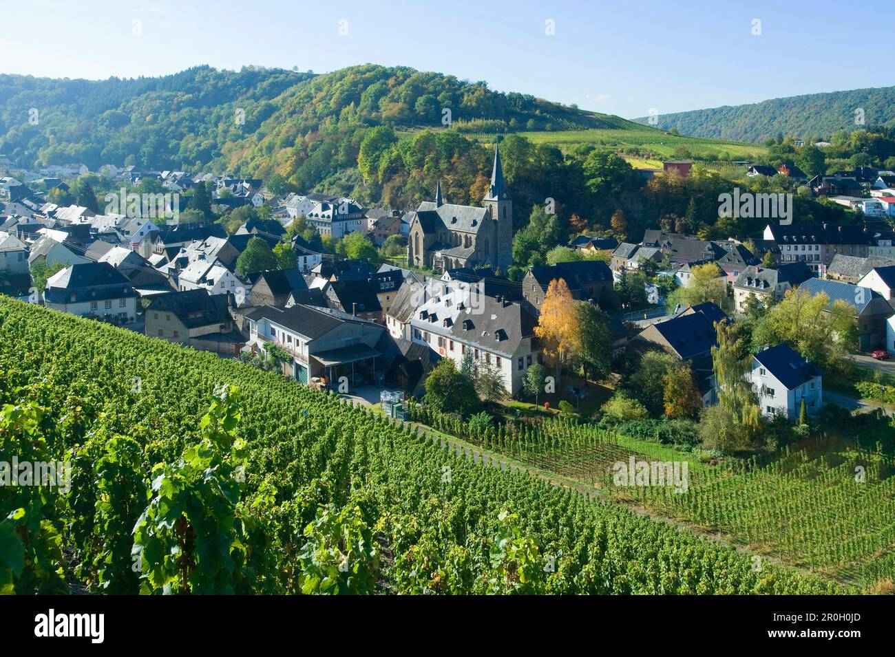 View at Dhron, Neumagen Dhron, Rhineland Palatinate, Germany Stock Photo