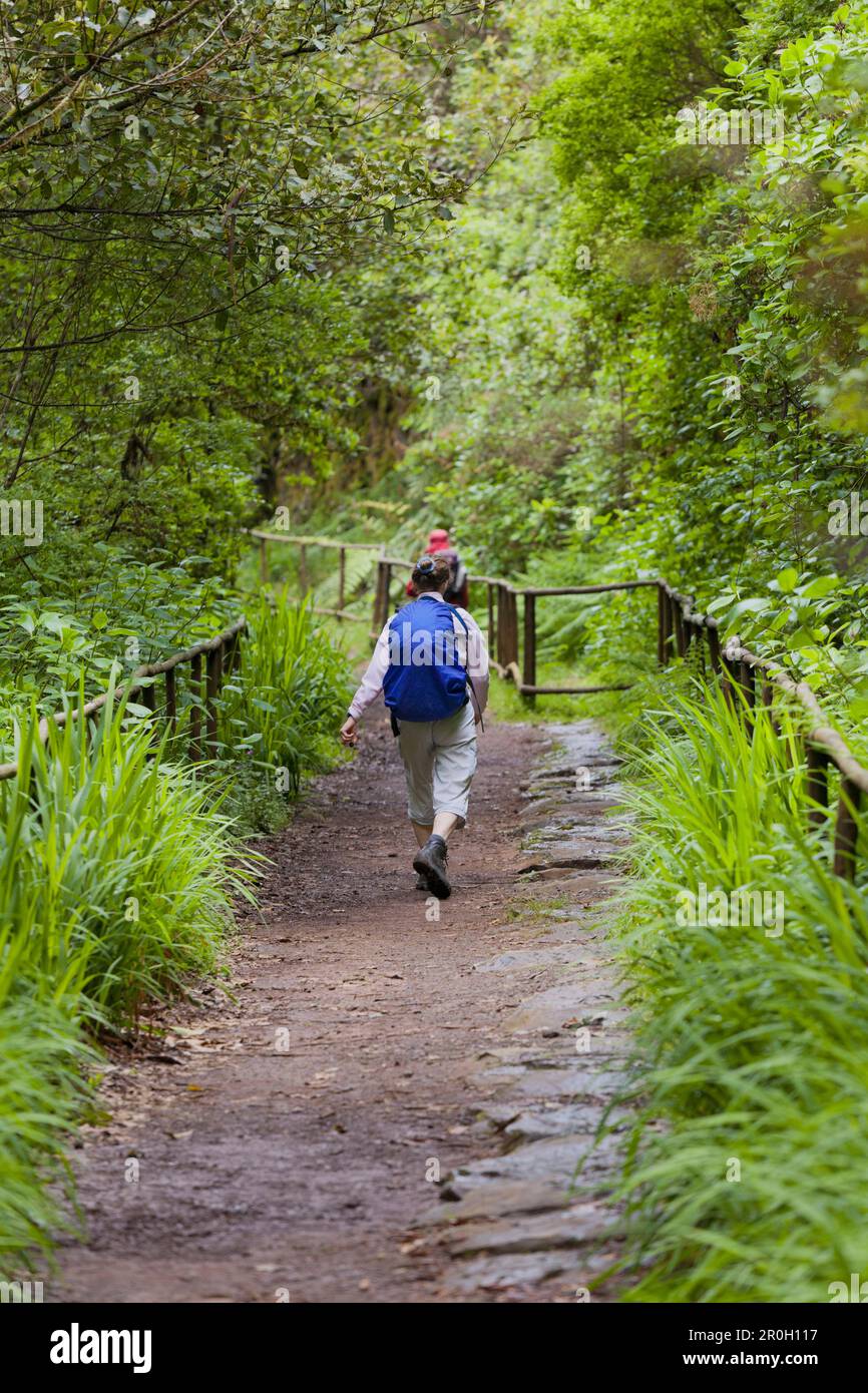 Hiker near Caldeirao Verde, Queimadas Forest Park, Madeira, Portugal Stock Photo