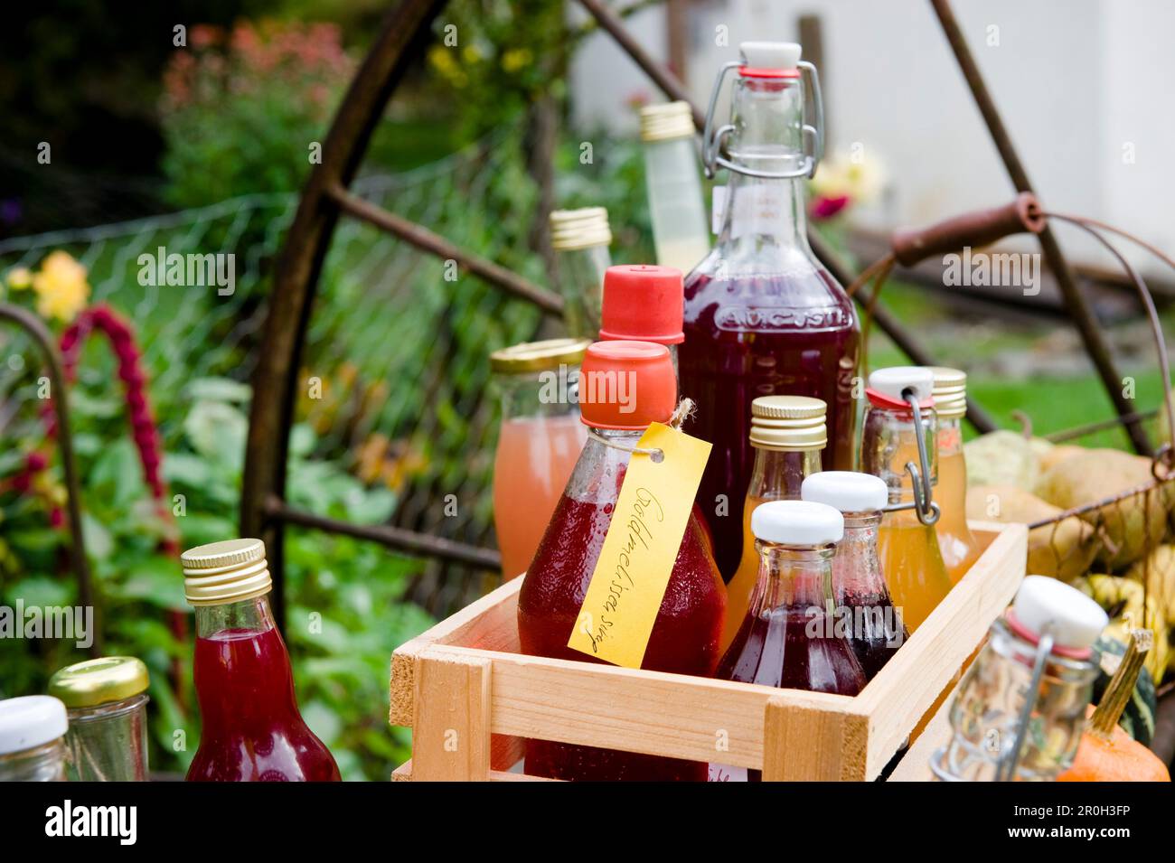 Bottles of juice, sirup and liqueurs, homemade, Garden Stock Photo