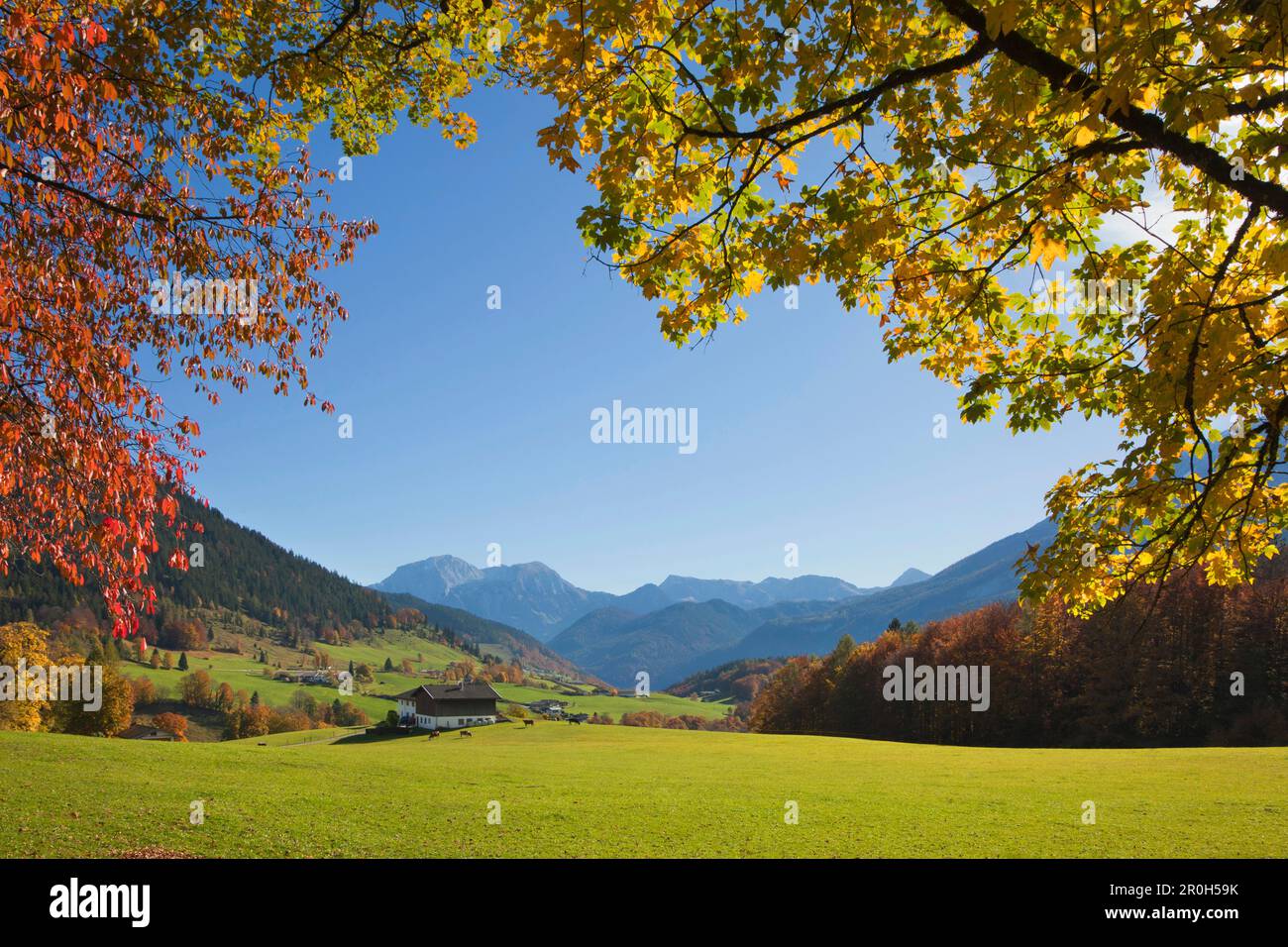 Autumnal landscape with farm near Ramsau, view onto Hoher Goell and