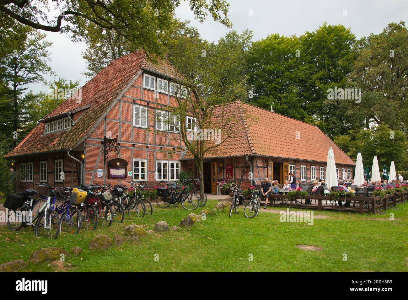 Guest house at Heather Museum, Wilsede, Lueneburg Heath, Lower Saxony, Germany, Europe Stock Photo