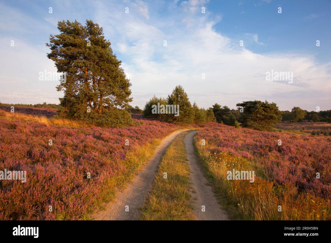 Serways Raststtte Lneburger Heide Westnull