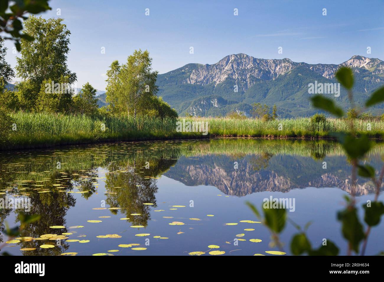 Pond with Herzogstand mountain, Bavarian Pre-Alps, Upper Bavaria, Germany, Europe Stock Photo