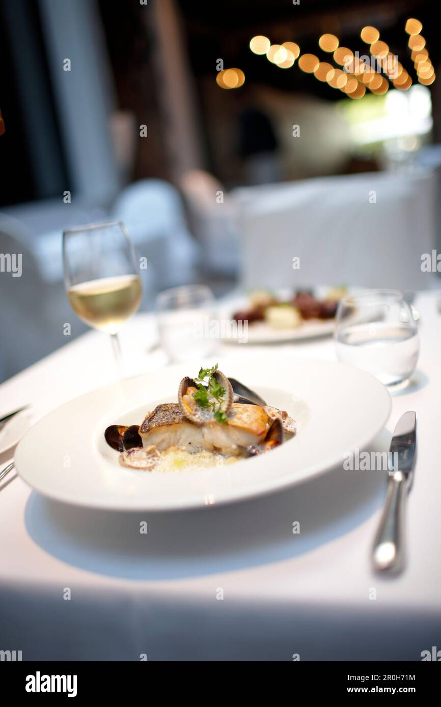 Seafood dish with steamed leek and shellfish, Restaurant, Paris, France