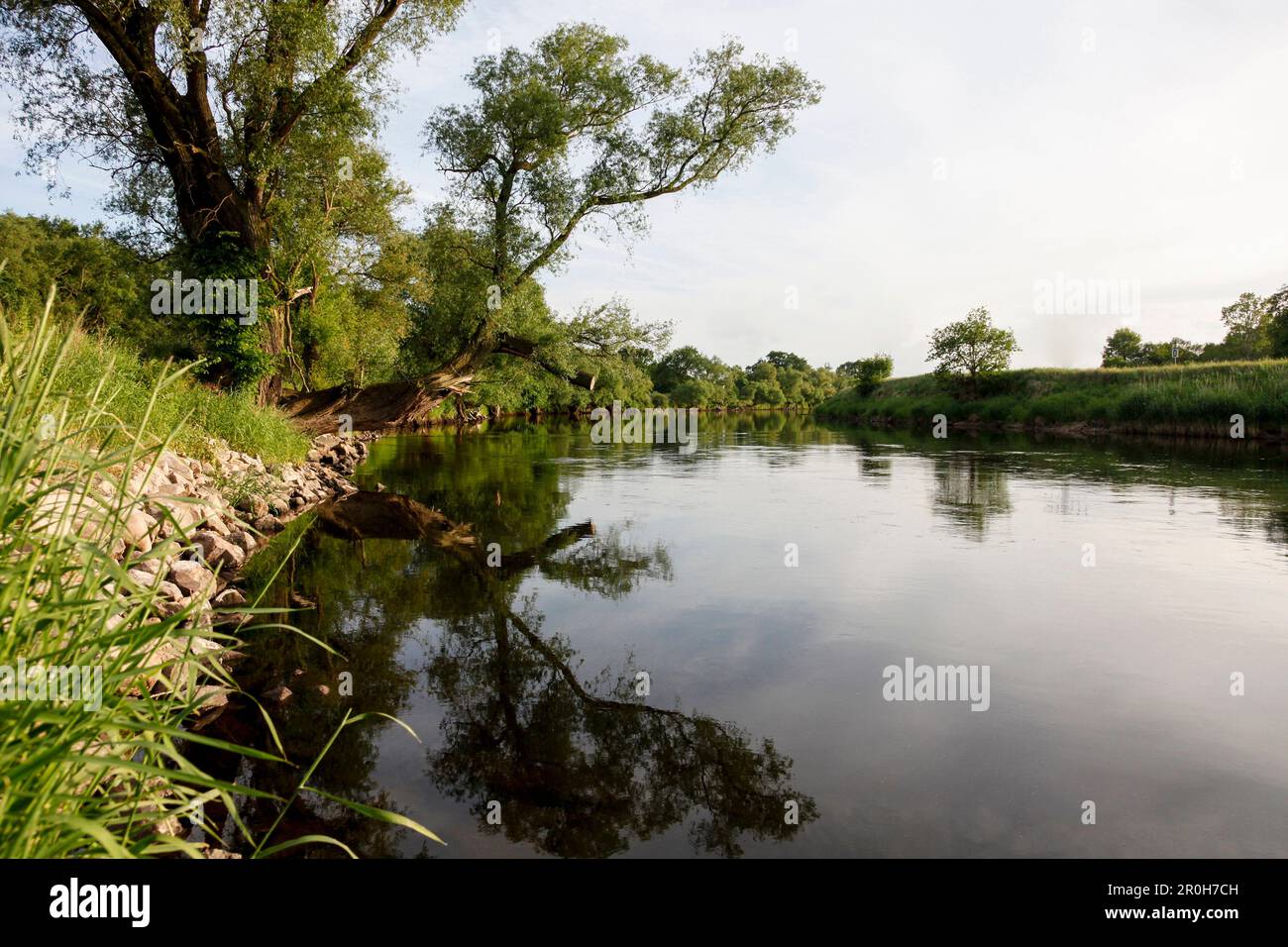Scenery at river Mulde, Grimma, Saxony, Germany Stock Photo