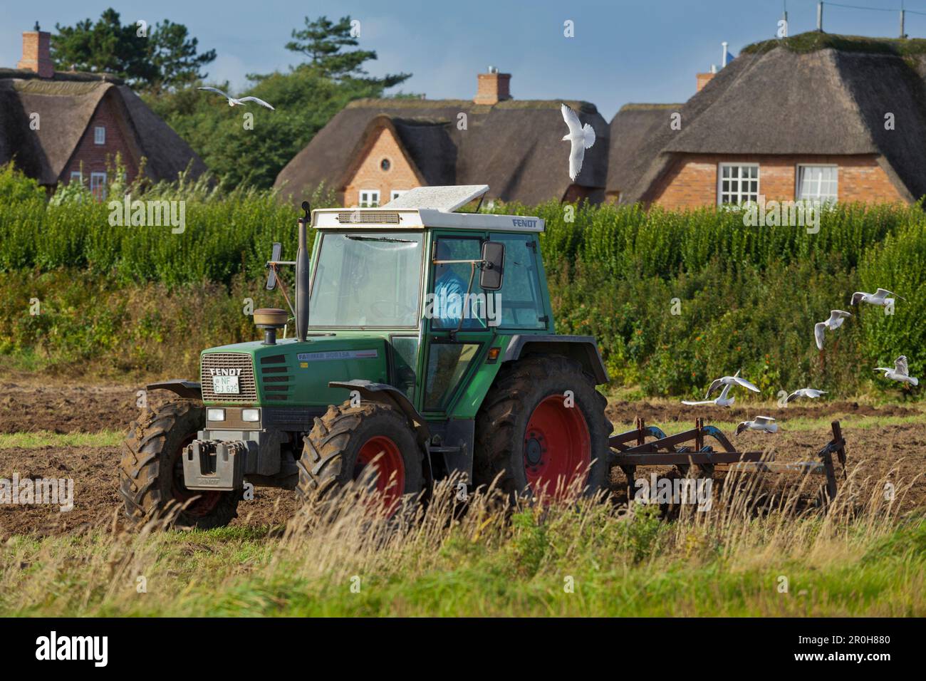 Tractor ploughing a field near Kampen, Sylt, Schleswig-Holstein, Germany Stock Photo