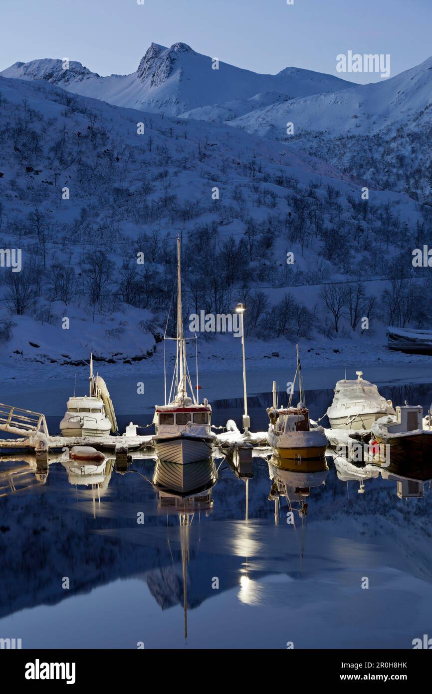 Sildpollneset harbour, Vestpollen, Austnesfjorden, Austvagoya, Lofoten, Nordland, Norway Stock Photo