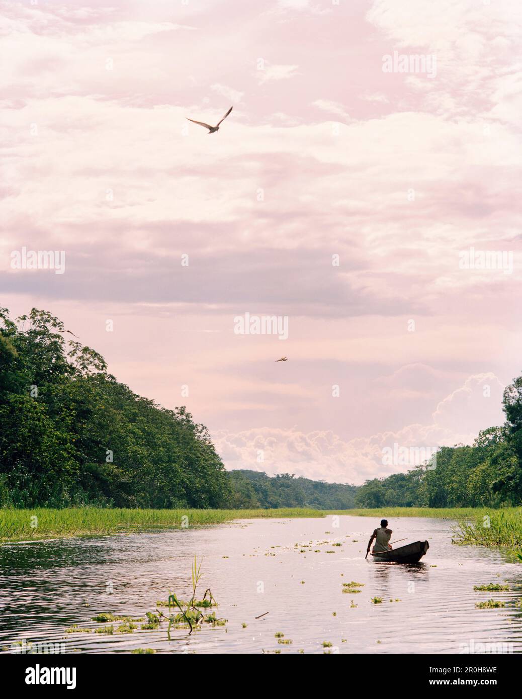 PERU, Amazon Rainforest, South America, Latin America, man on canoe in Yanayacu River Stock