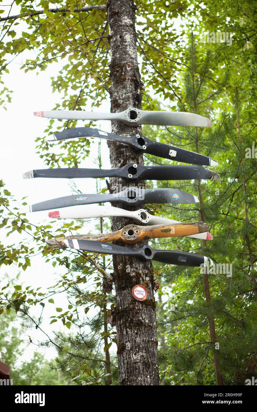 ALASKA, Talkeetna, a tree that is covered with old plane propellers Stock Photo Alamy