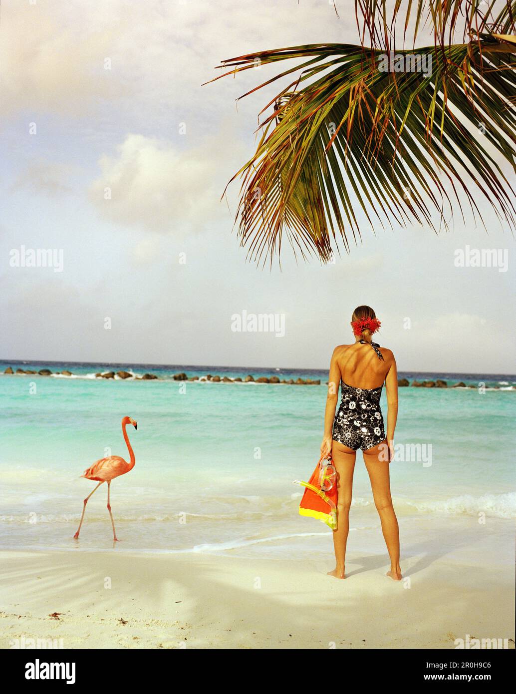 ARUBA, portrait of young woman standing on the beach in the middle of Pink Flamingos, Renaissance Island Stock Photo