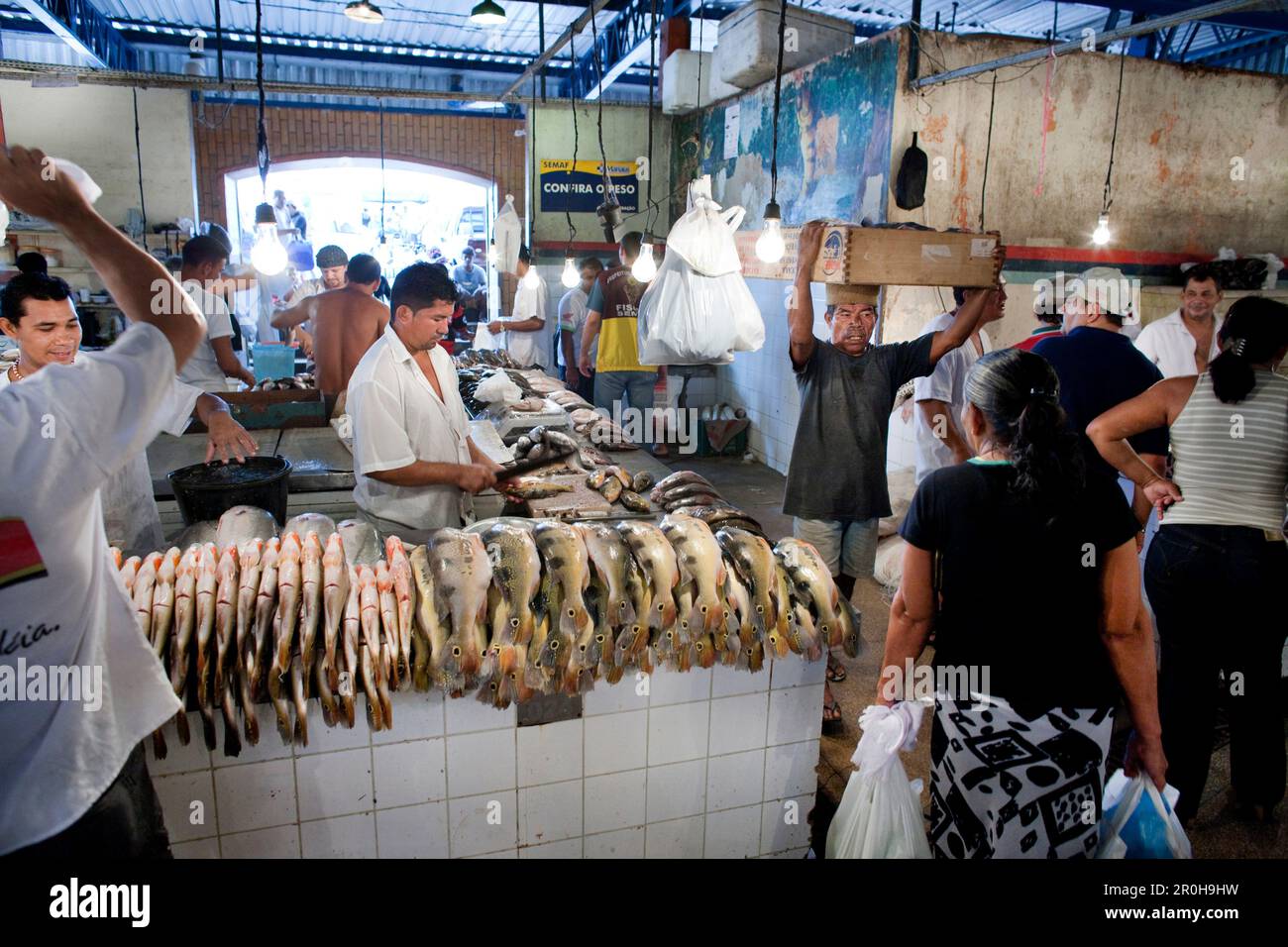 BRAZIL, Manaus Fish market, buying and selling fish Stock Photo Alamy