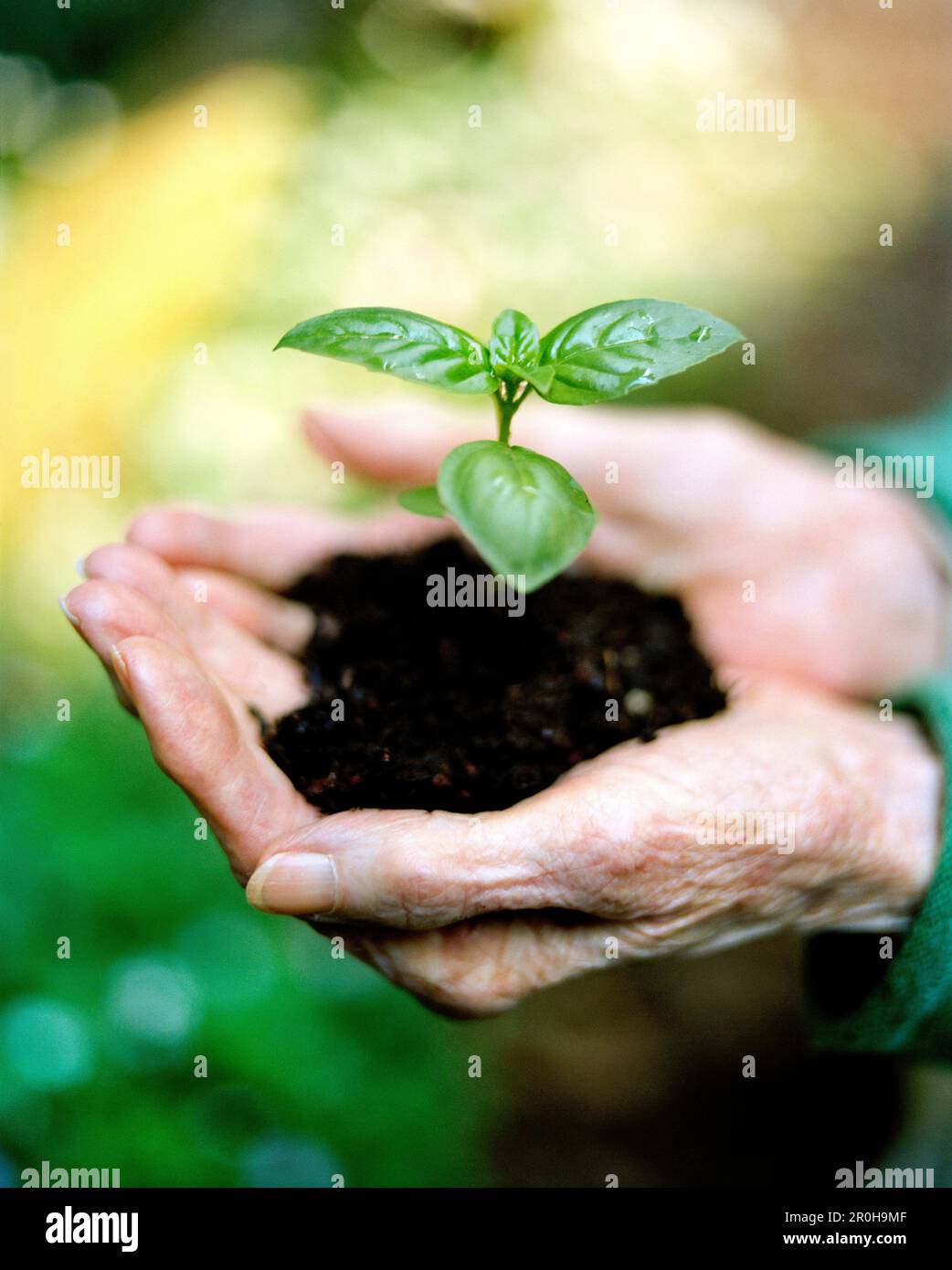 Human hands close up hi-res stock photography and images - Alamy