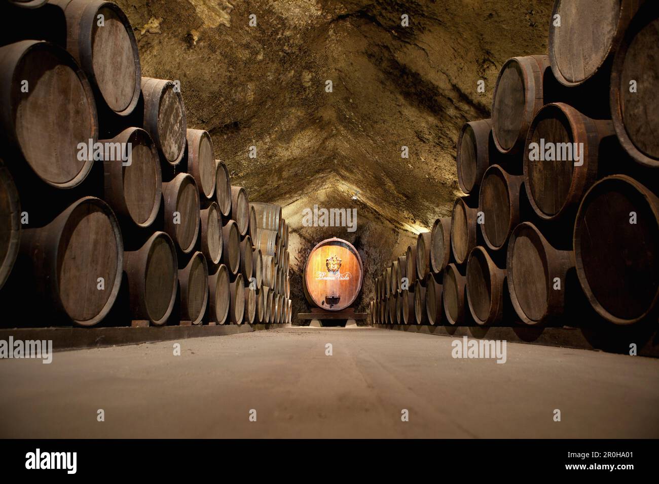 USA, California, Sonoma, Buena Vista Carneros winery, the oldest premium winery, a cave built in 1857 Stock Photo
