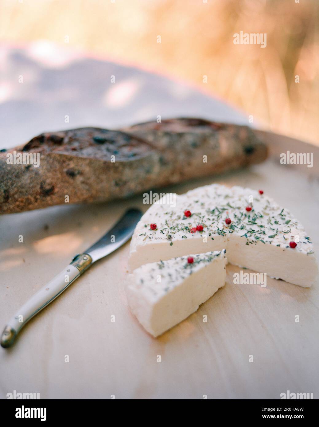 USA, California, Petaluma, Adante Goat’s milk cheese and bread, Andante